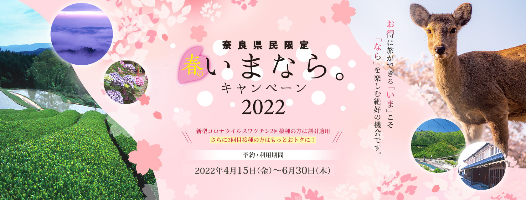 春の奈良県民限定キャンペーン（いまなら2022） | 一丸旅館